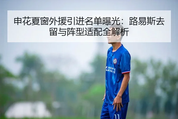 申花夏窗外援引进名单曝光：路易斯去留与阵型适配全解析