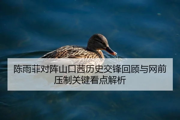 陈雨菲对阵山口茜历史交锋回顾与网前压制关键看点解析